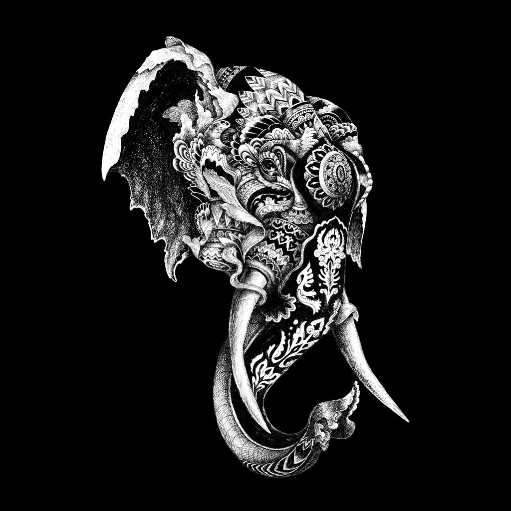Elephant T-Shirt by Iain Macarthur